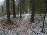 Spodnja Besnica (Ribogojnica) - Špičasti hrib